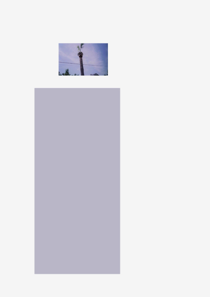 Rectangles (palmtop), 2011
c-print on paper 29,7 x 21 cm